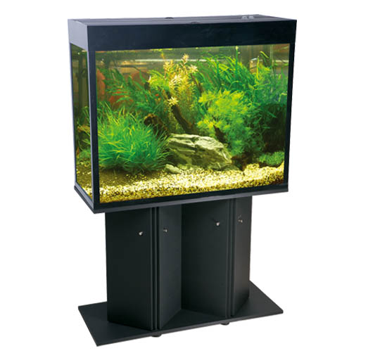 Aquarium tank Q800
